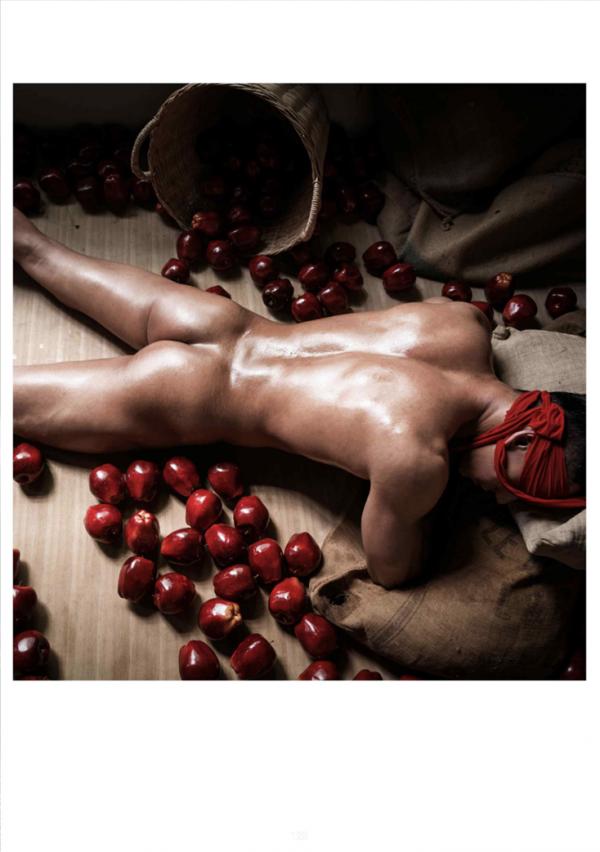 XPERIMENT-16--The-Apple-Picker